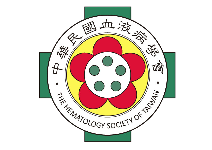hst2 company logo