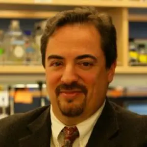 Professor Ari Melnick